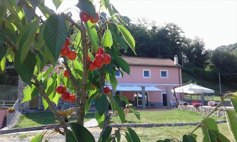 B&B La Casina Rosa La Spezia Valeriano Lunense Eksteriør billede