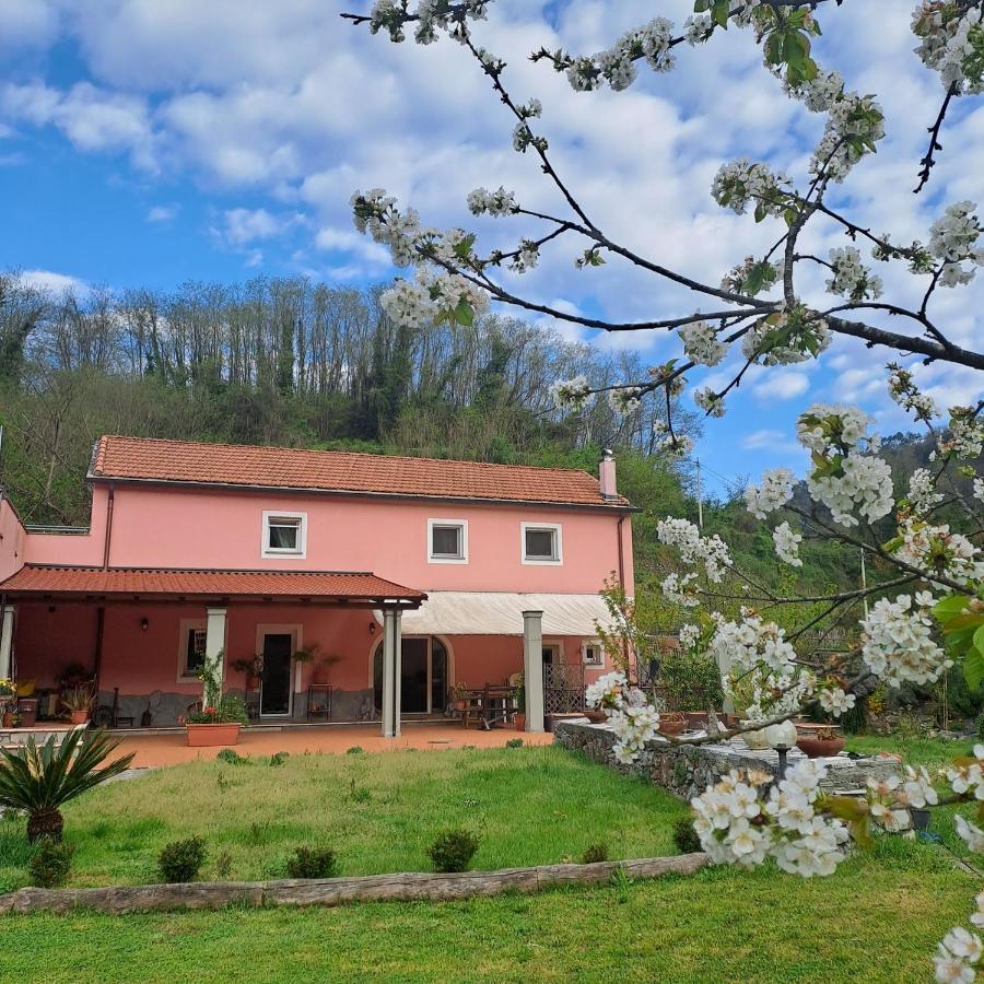 B&B La Casina Rosa La Spezia Valeriano Lunense Eksteriør billede